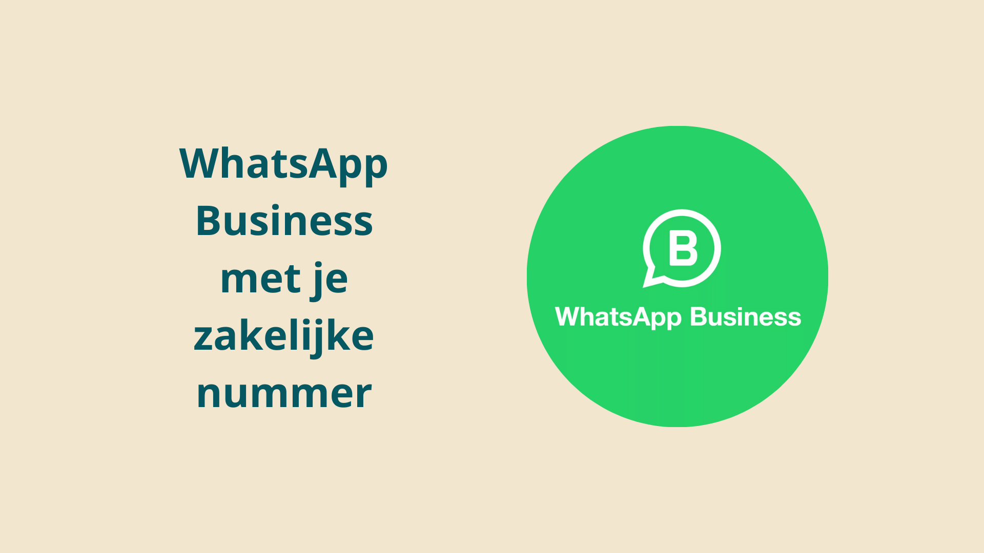 Nederlands nummer Whatsapp